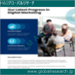 グローバルリサーチ調査レポートのイメージ